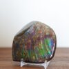 Ammolite Display Stone