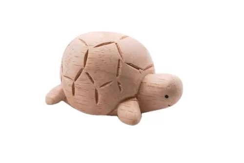polepole animal Turtle