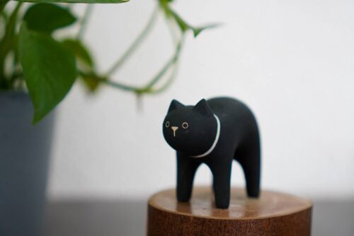 polepole Black Cat