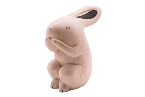 polepole-animal-Rabbit