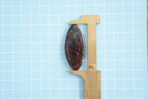 Ammolite | Natural hand polished loose stone 50x22x4